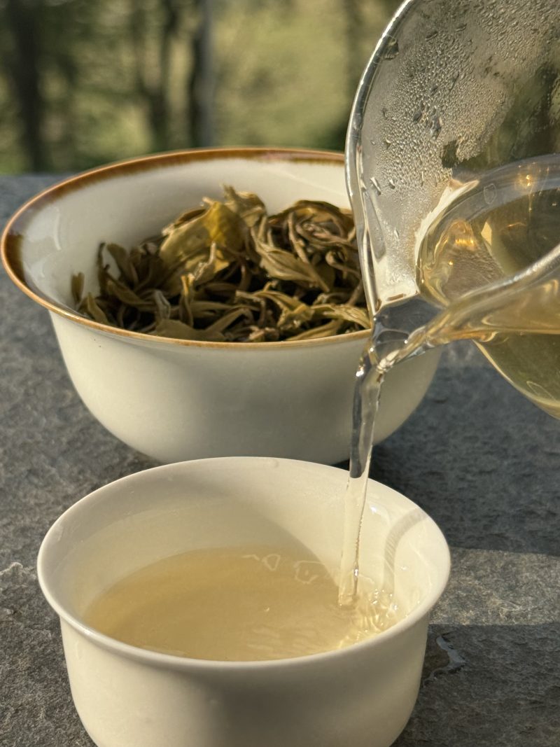 Chinese Organic Jasmine Tea Rare Organic Jasmine Infusion Fragrant Aroma Spreading Everywhere 400g Gift Box Packaging - Image 3